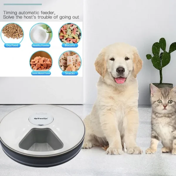 H29dfdb7fea574e7abadb9e980e9b3cc6E.webp MealMate™ 6-Meal Automatic Pet Feeder