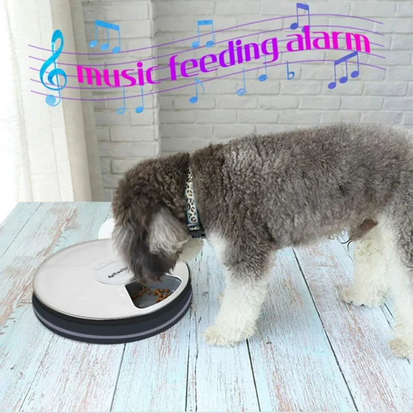 H305f198aa8ce46be871367cedce8c361G.webp MealMate™ 6-Meal Automatic Pet Feeder