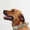 TactiPup™ Reflective Collar & Leash Set