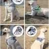S0326cb5305c74159a9c7f2ec14a9e809Y.webp PowerPup™ Adjustable Dog Harness & Leash Set