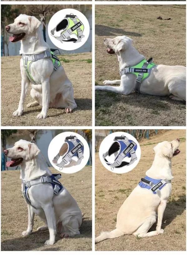 S0326cb5305c74159a9c7f2ec14a9e809Y.webp PowerPup™ Adjustable Dog Harness & Leash Set