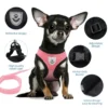 S06a4bc8189584fc8981933a5951722eeq.webp ComfortMesh™ Pet Harness & Leash Set