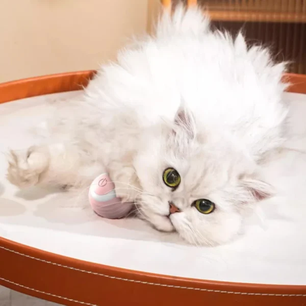 S07c58d5e5d534ec3a367dab4ec6113ce7.webp WhirlPaws™ Automatic Rolling Cat Ball