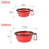 S087f26f478c046dea3ea74795c9c00f2M.webp FlexBowl™ Collapsible Pet Bowl