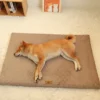 S094343b69fc64dfa895de08d26f9012d6.webp CozyCloud™ Orthopedic 3D Foam Pet Bed
