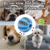 S0c995bc59d5d49859fe1379ce99f484f8.webp ChompPlay™ Treat Ball & Dental Toy