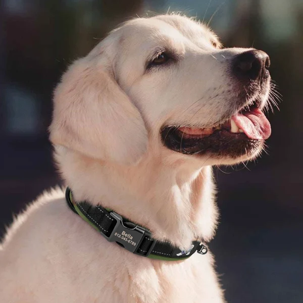 PawPrint™ Personalized Reflective Dog Collar