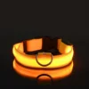 S0e7f45ff5b914776b103eda33c0041faf.webp GlowPaw™ LED Safety Collar & Leash
