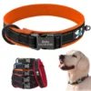 PawPrint™ Personalized Reflective Dog Collar