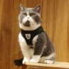 EscapeProof™ Cat & Small Dog Harness Set
