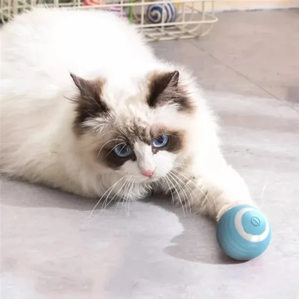 S1295f231d6274912918f010a1f8a9162r.webp WhirlPaws™ Automatic Rolling Cat Ball