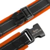 PawPrint™ Personalized Reflective Dog Collar