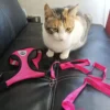 S13c6afd69f6447f080b9dee9e050bdabK.webp BreezeFit™ Summer Pet Harness & Leash Set