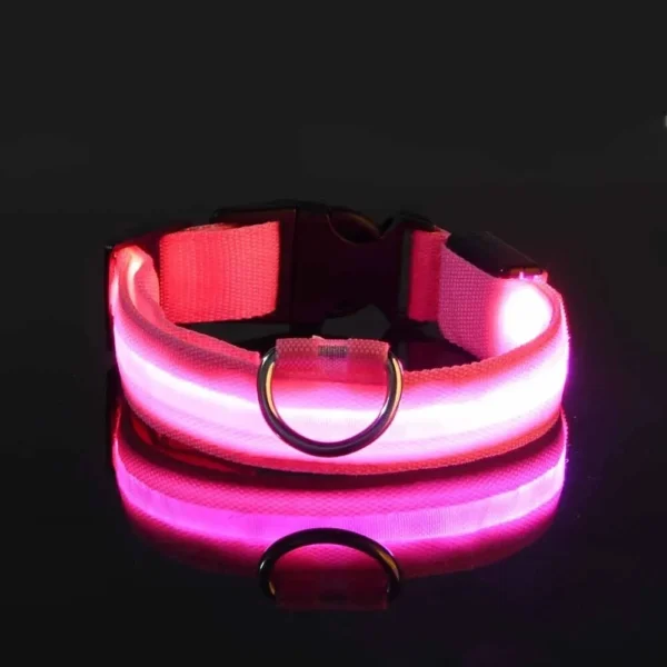 S13d964c3a5d54cbbb342fae52c8228c02.webp GlowPaw™ LED Safety Collar & Leash