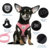 S1455fc30a4134d4b97c83c25e6419d45U.webp BreezeFit™ Summer Pet Harness & Leash Set