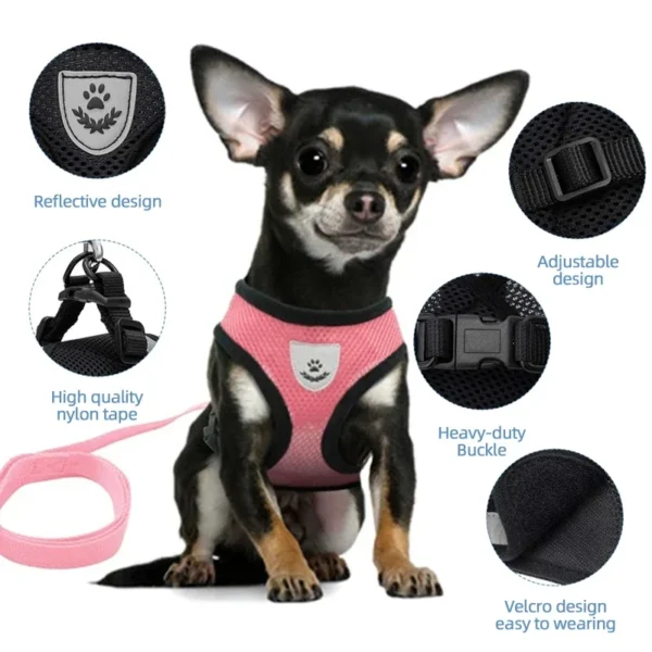 S1455fc30a4134d4b97c83c25e6419d45U.webp BreezeFit™ Summer Pet Harness & Leash Set