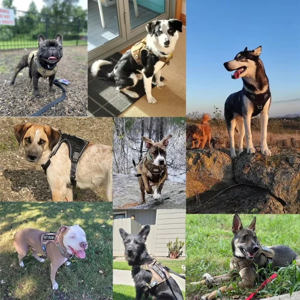 MaxControl™ No-Pull Reflective Dog Harness