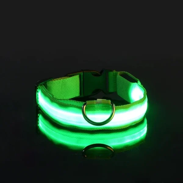 S1930272cfa37490ba56e05b327a6a79dW.webp GlowPaw™ LED Safety Collar & Leash