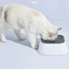 SmartSip™ Anti-Spill Pet Water Bowl