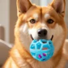 S1d37301705ba401ea27ca10d9f23c03dT.webp DuoChew™ Bell Ball & Molar Ring Toy Set