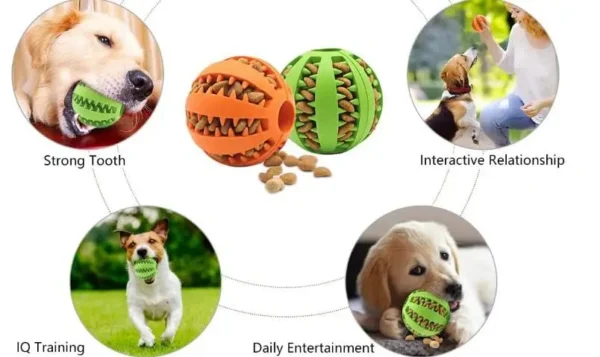 S1fcd1886b97a4584a78297f97f958f477.webp ChompPlay™ Treat Ball & Dental Toy