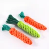 Carrot ChewBuddy™ Rope Toy
