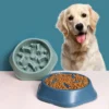 PaceBite™ Anti-Gulping Pet Bowl