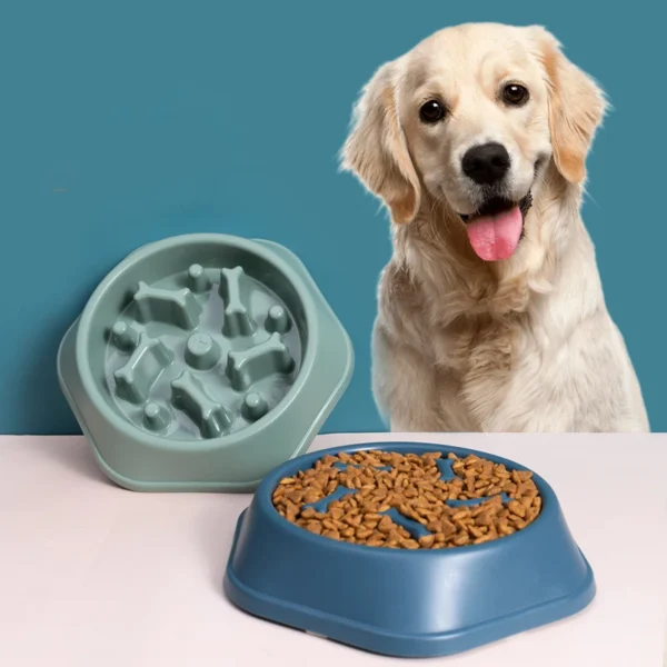 PaceBite™ Anti-Gulping Pet Bowl
