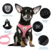 S2b441c07c8eb456eb80881665daf4520M.webp BreezeFit™ Summer Pet Harness & Leash Set