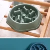 PaceBite™ Anti-Gulping Pet Bowl