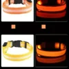 S2dea830e040043a398cf6fbc006243dbT.webp GlowPaw™ LED Safety Collar & Leash