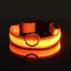 S2f3137702cff479b9b3dbcfb6d7cd5b4L.webp GlowPaw™ LED Safety Collar & Leash