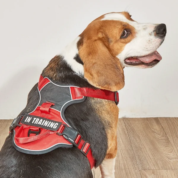 TrailGuard™ No-Pull Dog Harness