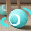 S30512de4d58b4196a04762b6cd9c3c1cv.webp PupPlay™ Smart Motion Chew Ball