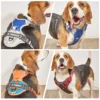TrailGuard™ No-Pull Dog Harness
