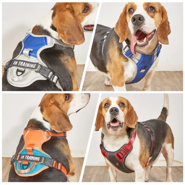 TrailGuard™ No-Pull Dog Harness