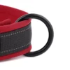 PawPrint™ Personalized Reflective Dog Collar