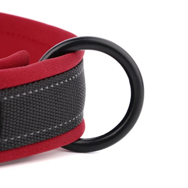 PawPrint™ Personalized Reflective Dog Collar