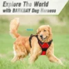 S353e59b2ea1a457db55f67fe5fb97a1d5.webp StrongStride™ Front-Clip No-Pull Dog Harness