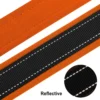 PawPrint™ Personalized Reflective Dog Collar