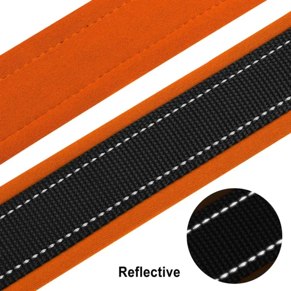 PawPrint™ Personalized Reflective Dog Collar