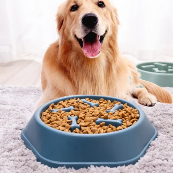 PaceBite™ Anti-Gulping Pet Bowl