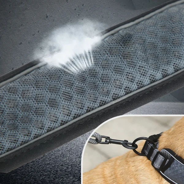 SafeStride™ Reflective Dog Collar