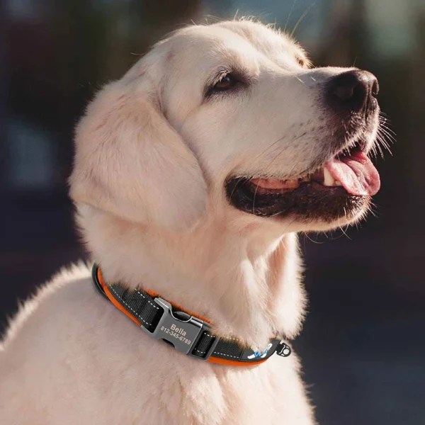 PawPrint™ Personalized Reflective Dog Collar