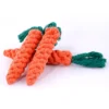 Carrot ChewBuddy™ Rope Toy