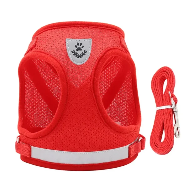EscapeProof™ Cat & Small Dog Harness Set