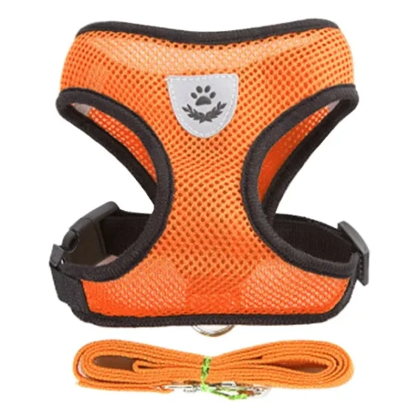 S42f8942ae1784543b0e13bf940001efbs.webp ComfortMesh™ Pet Harness & Leash Set
