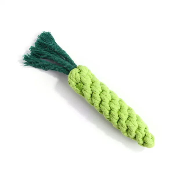 Carrot ChewBuddy™ Rope Toy
