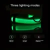 S47e5b11246754fd8bad8ca99c1513d3c9.webp GlowPaw™ LED Safety Collar & Leash