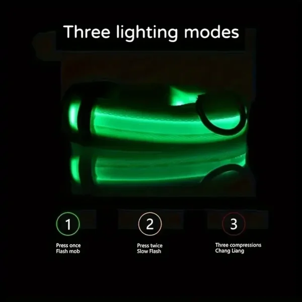 S47e5b11246754fd8bad8ca99c1513d3c9.webp GlowPaw™ LED Safety Collar & Leash